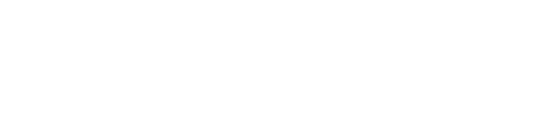 Product Launch Services